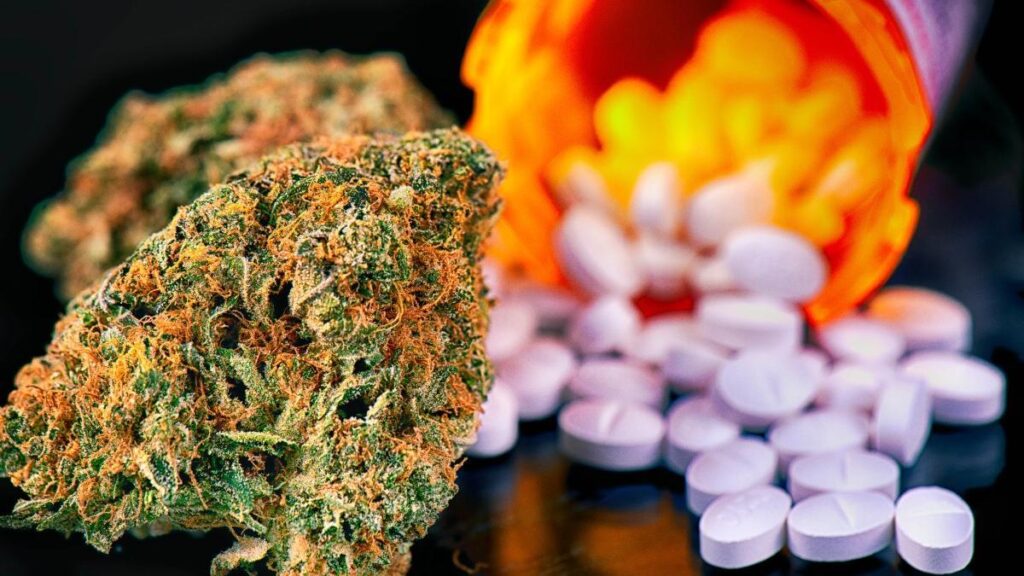 Preocupante aumento del consumo de marihuana y éxtasis en Chile: