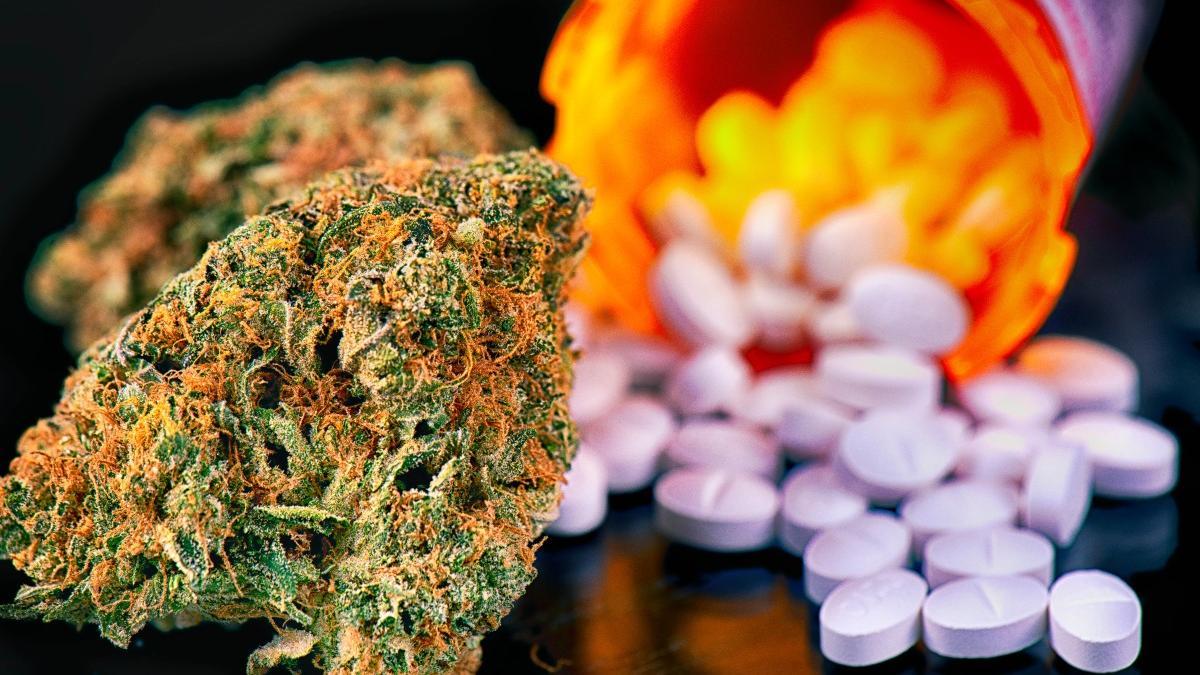 Preocupante aumento del consumo de marihuana y éxtasis en Chile: